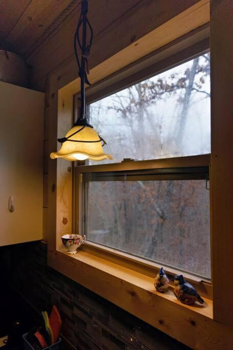 Hideaway Cabin Near Mammoth Springs, Ark 外观 照片